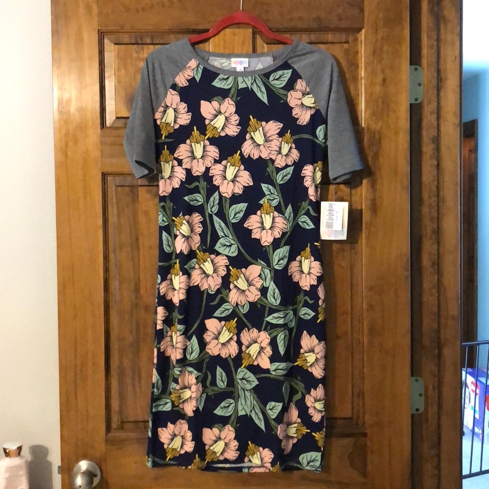 Medium Lularoe Floral vintage Julia dress